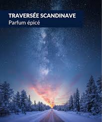 Traversée Scandinave image